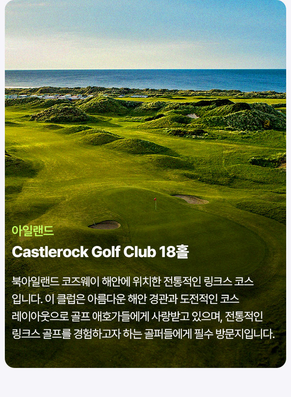 컨텐츠