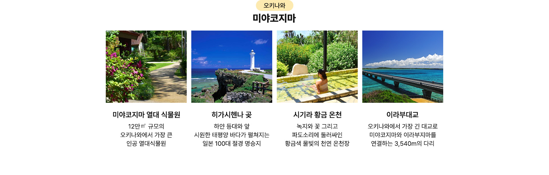 컨텐츠