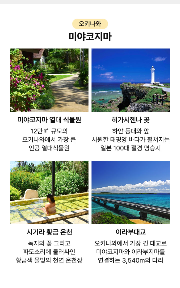 컨텐츠