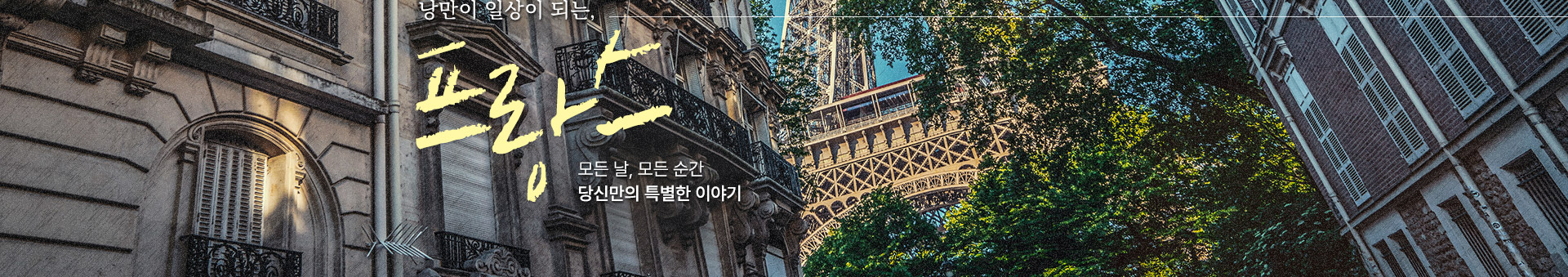 컨텐츠