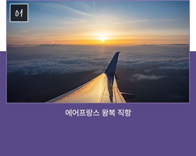 컨텐츠