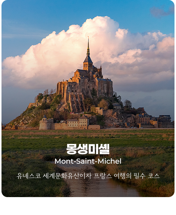 컨텐츠