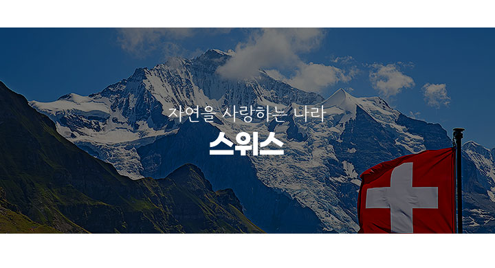컨텐츠