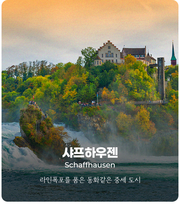 컨텐츠