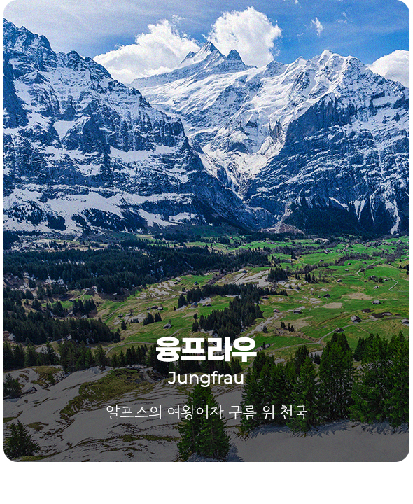 컨텐츠