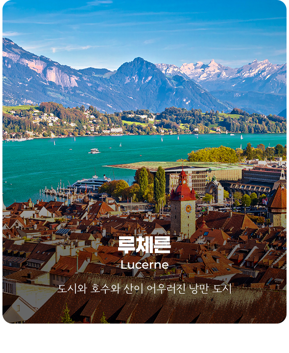 컨텐츠