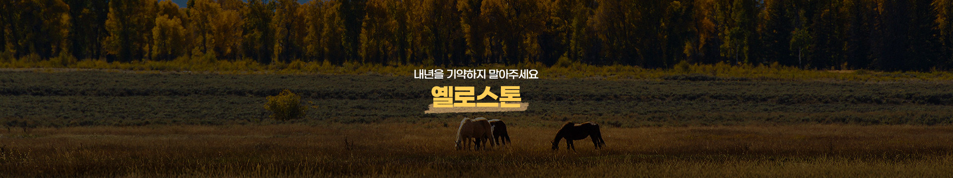 기획전 이미지