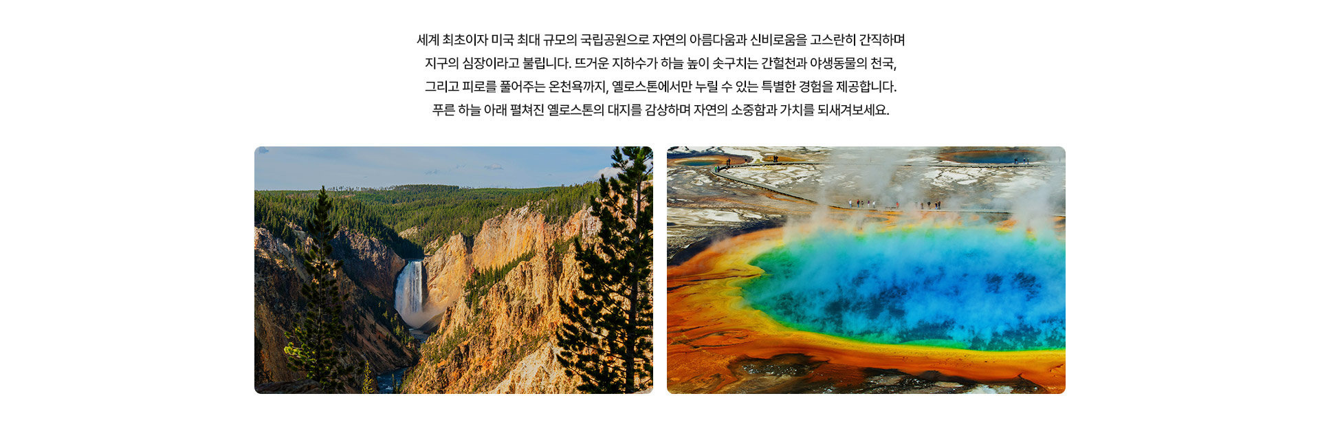 기획전 이미지