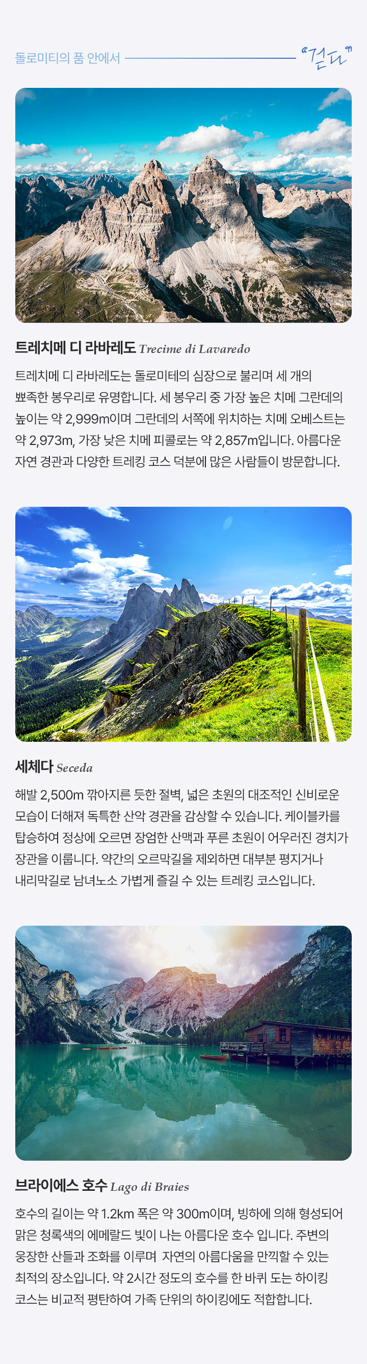 기획전