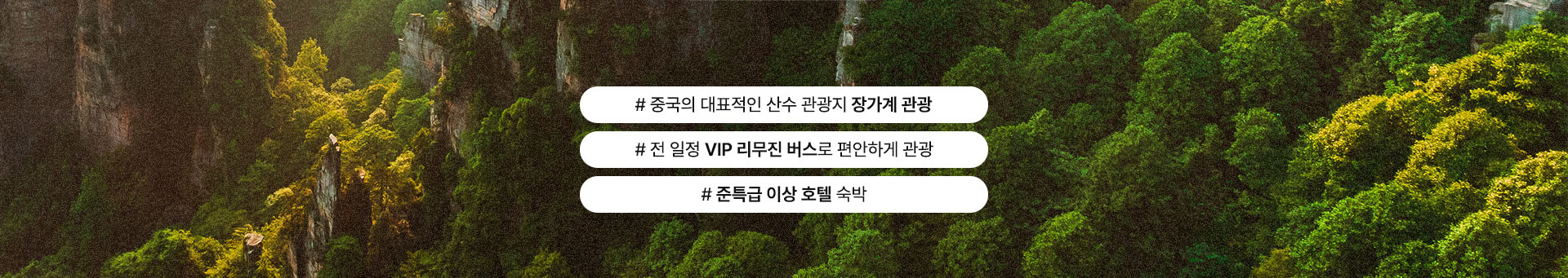 컨텐츠
