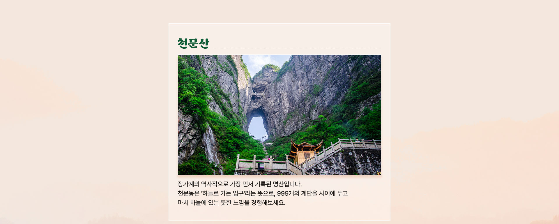 컨텐츠