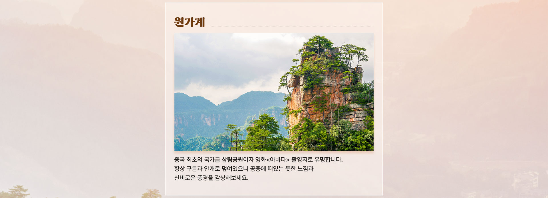 컨텐츠