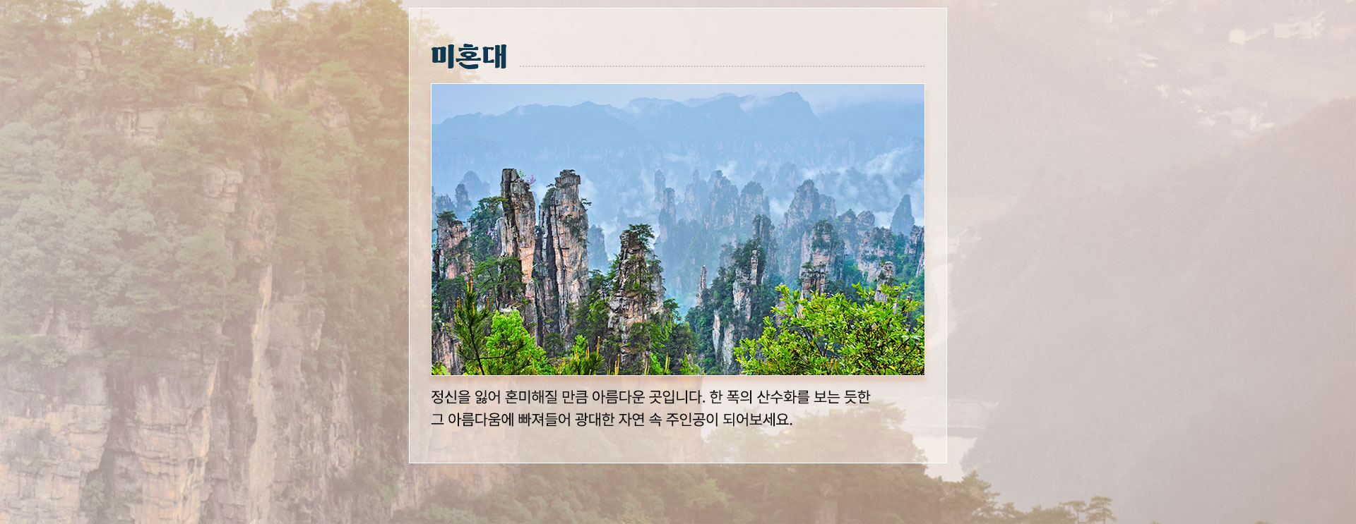 컨텐츠