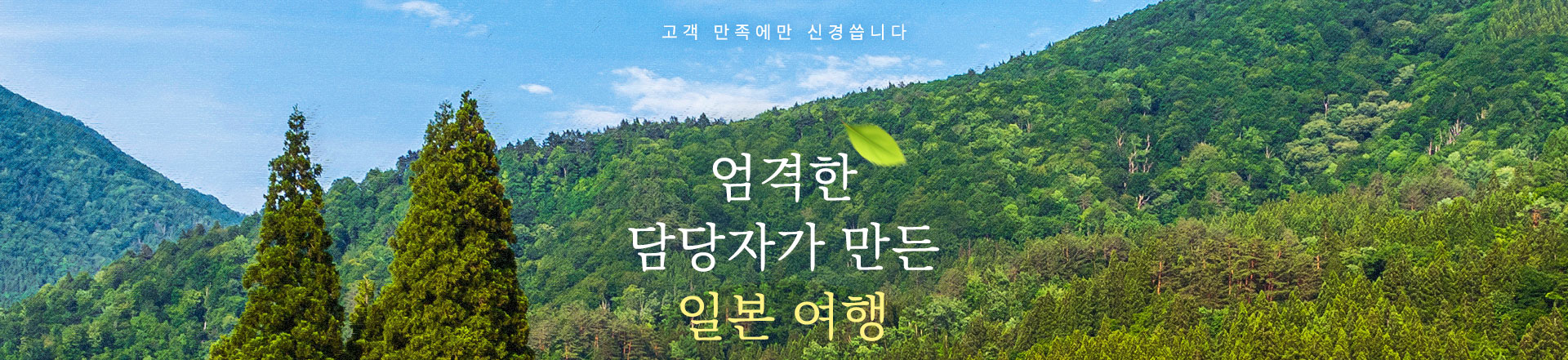 상단이미지