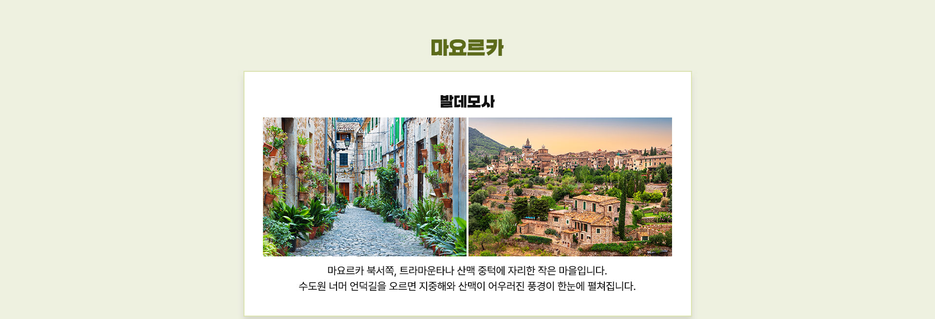 컨텐츠