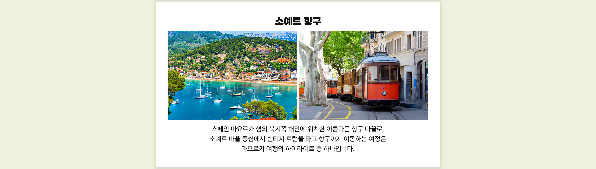 컨텐츠