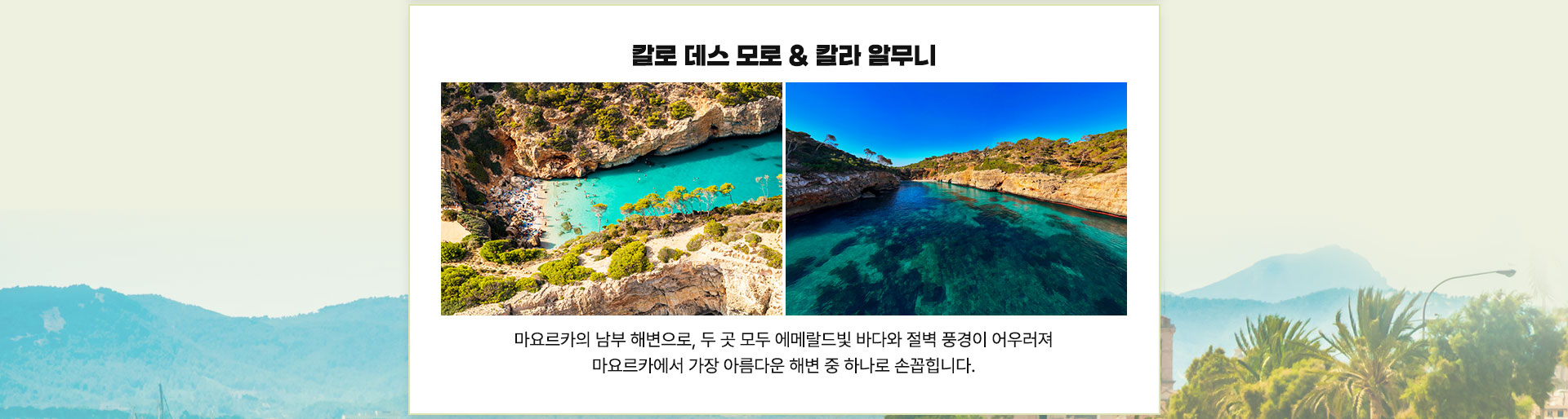 컨텐츠