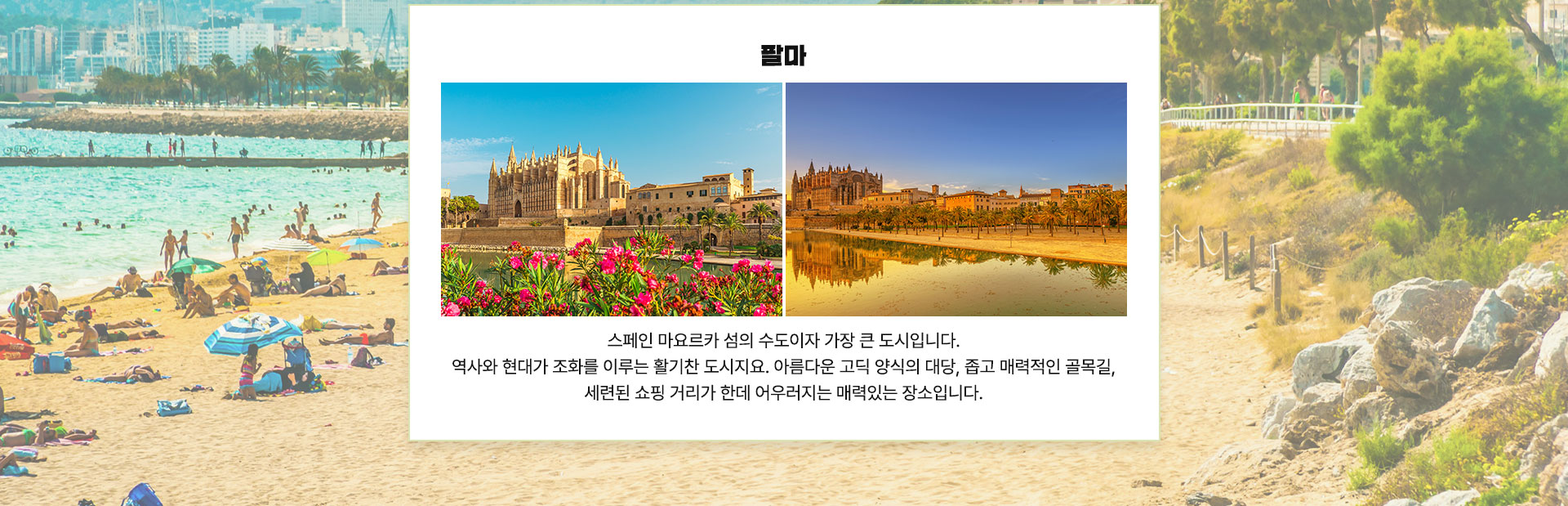 컨텐츠
