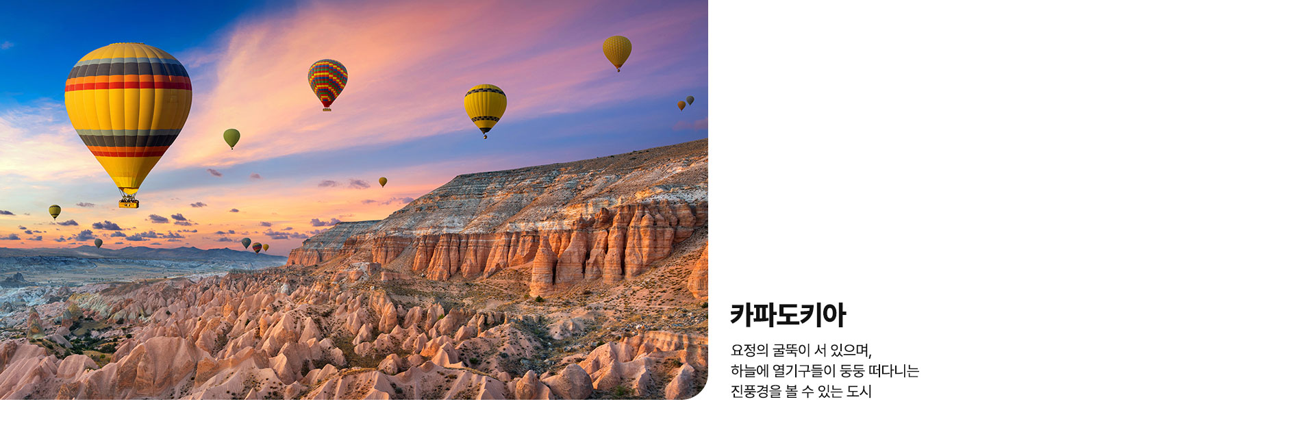 컨텐츠