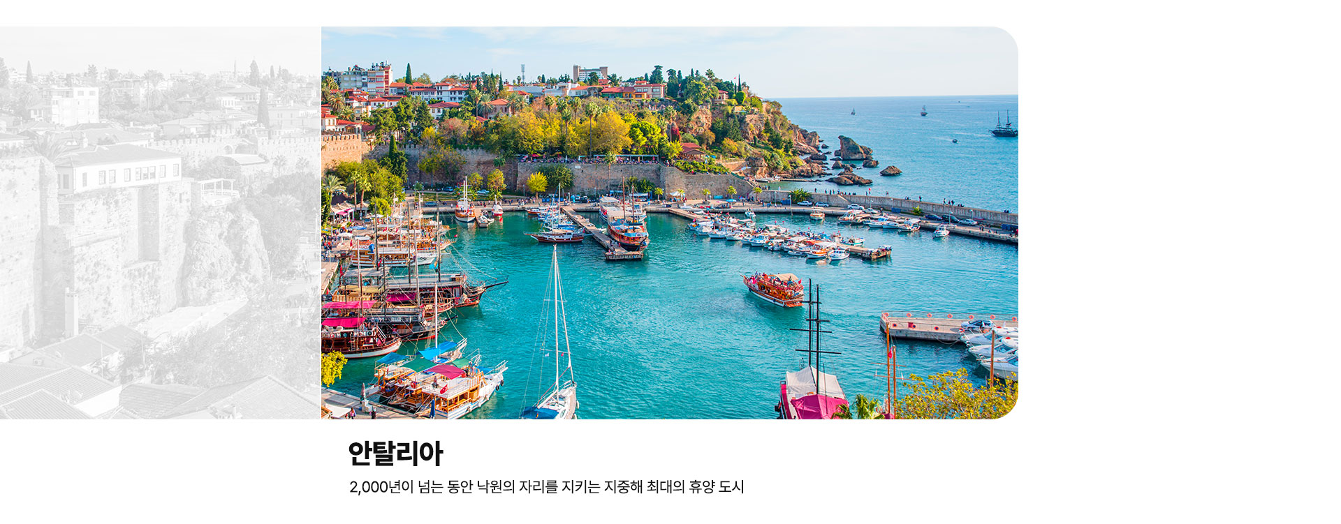 컨텐츠