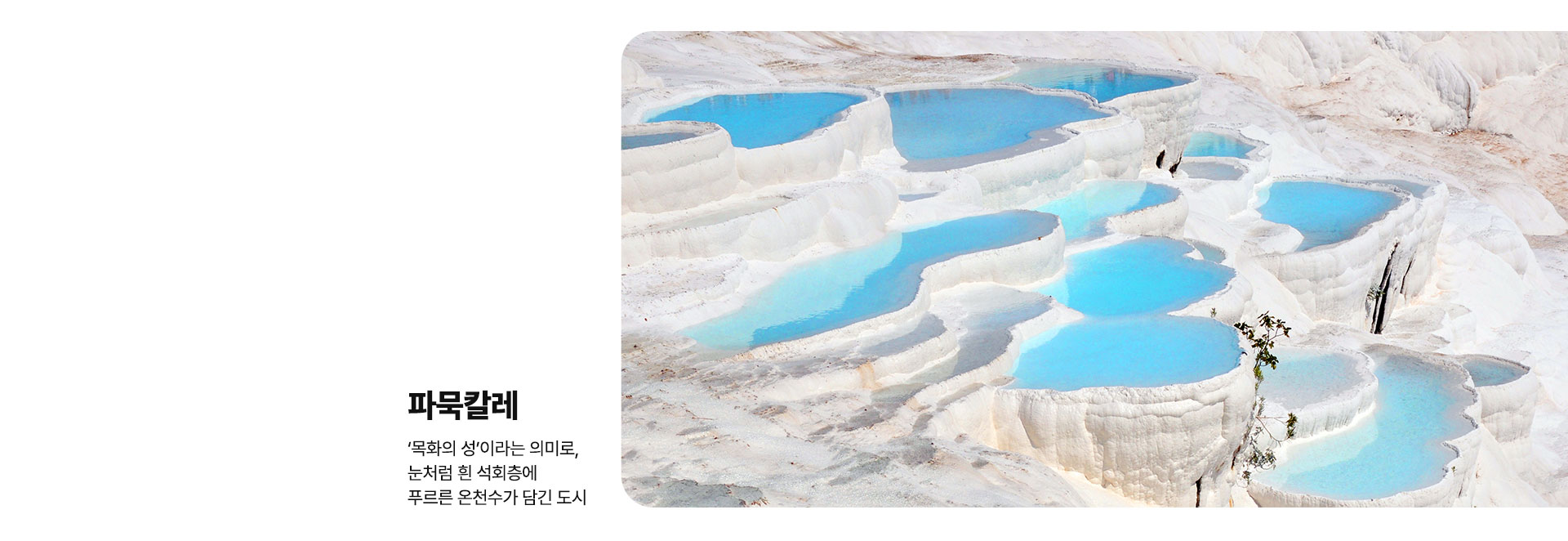 컨텐츠