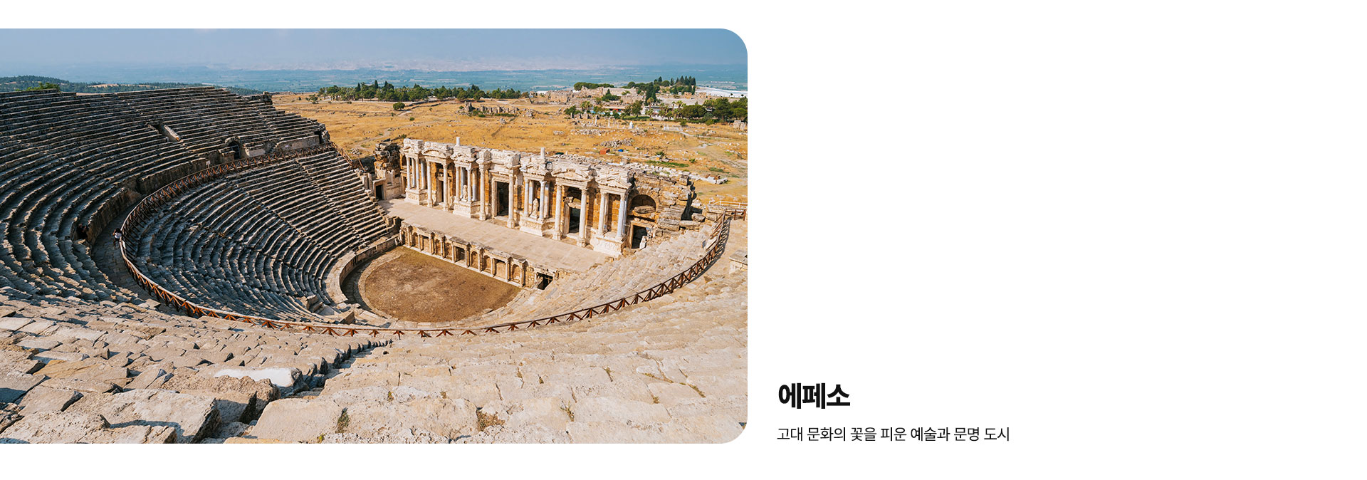 컨텐츠