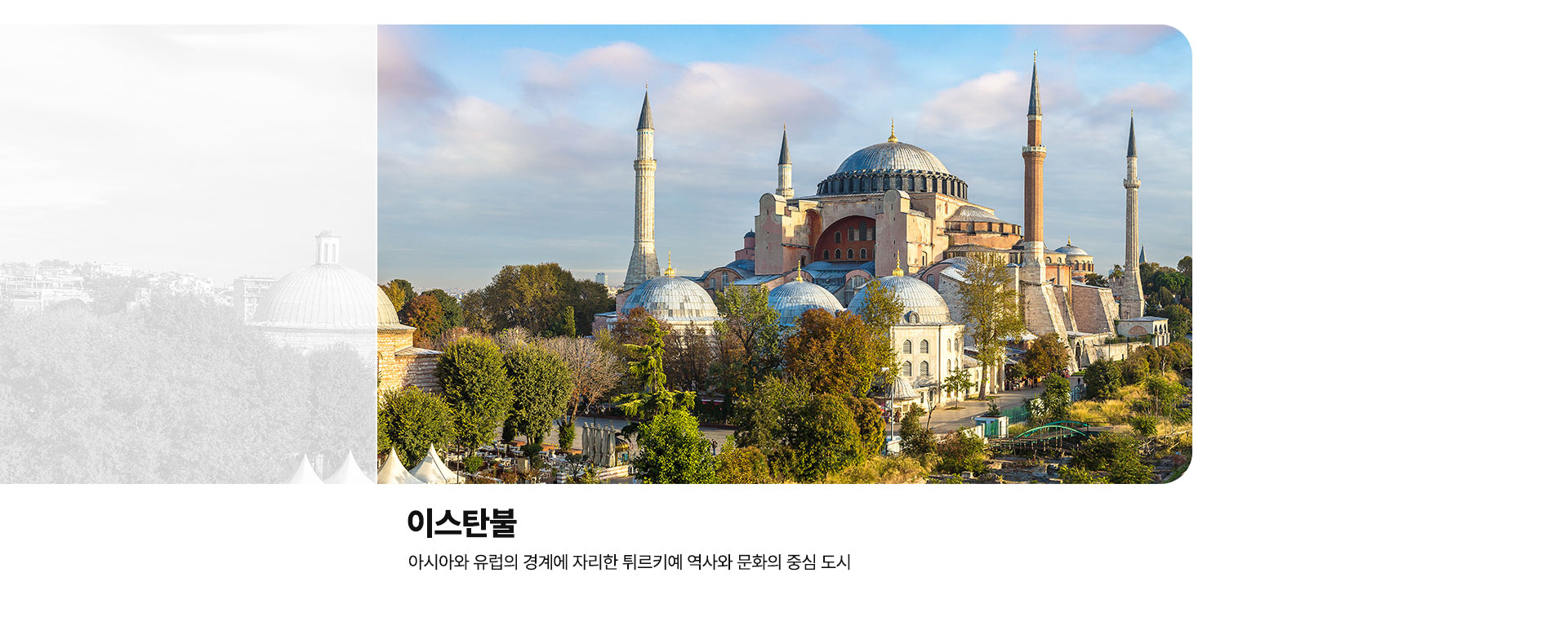 컨텐츠