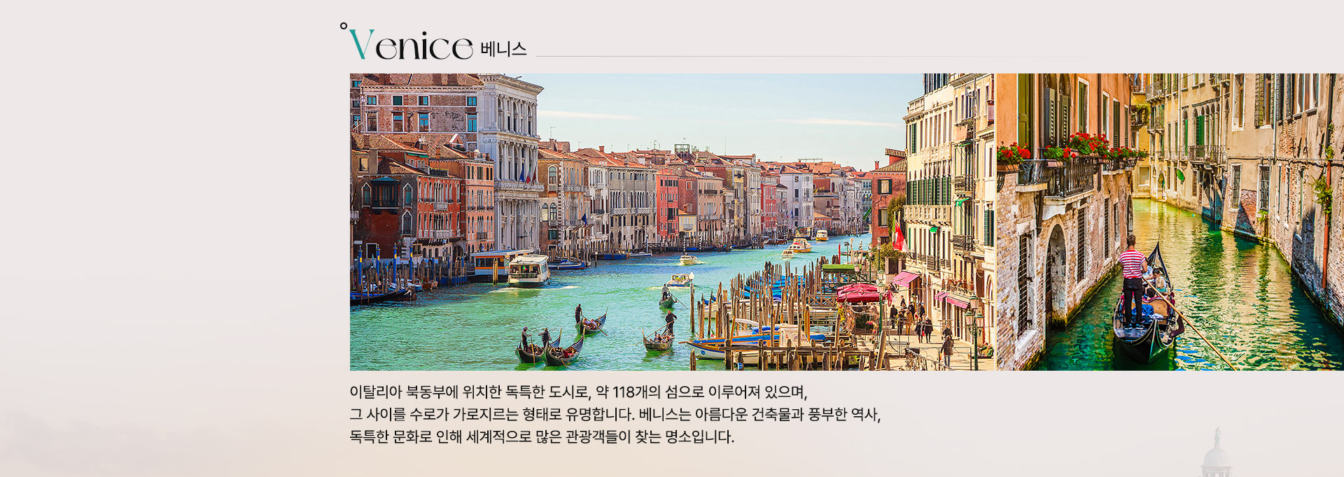 컨텐츠