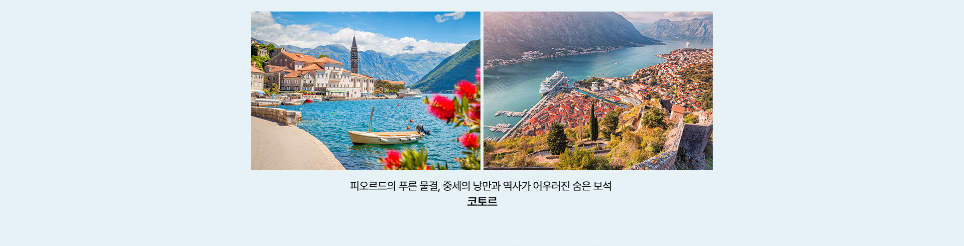 컨텐츠