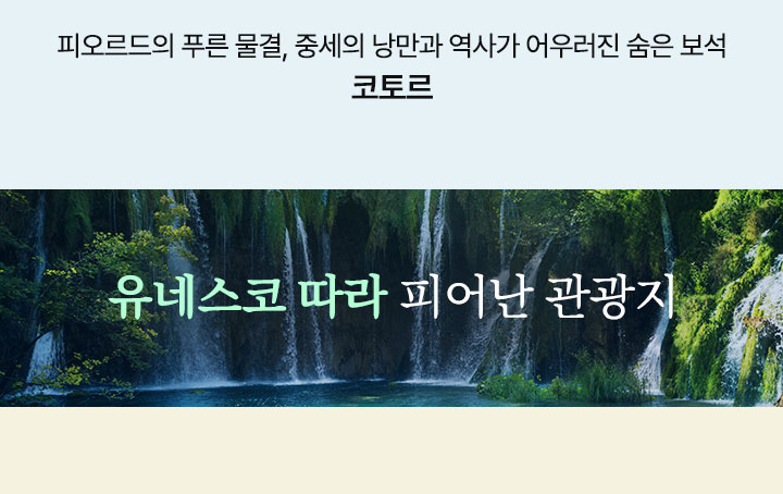 컨텐츠