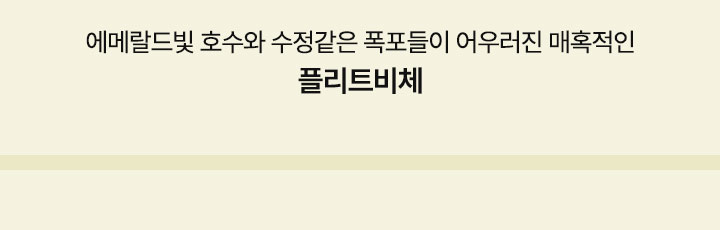 컨텐츠
