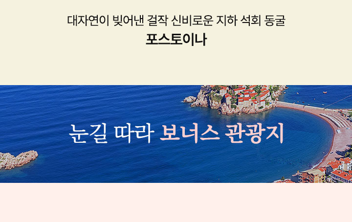 컨텐츠
