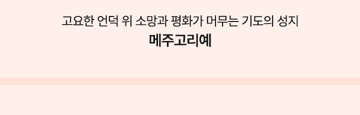 컨텐츠