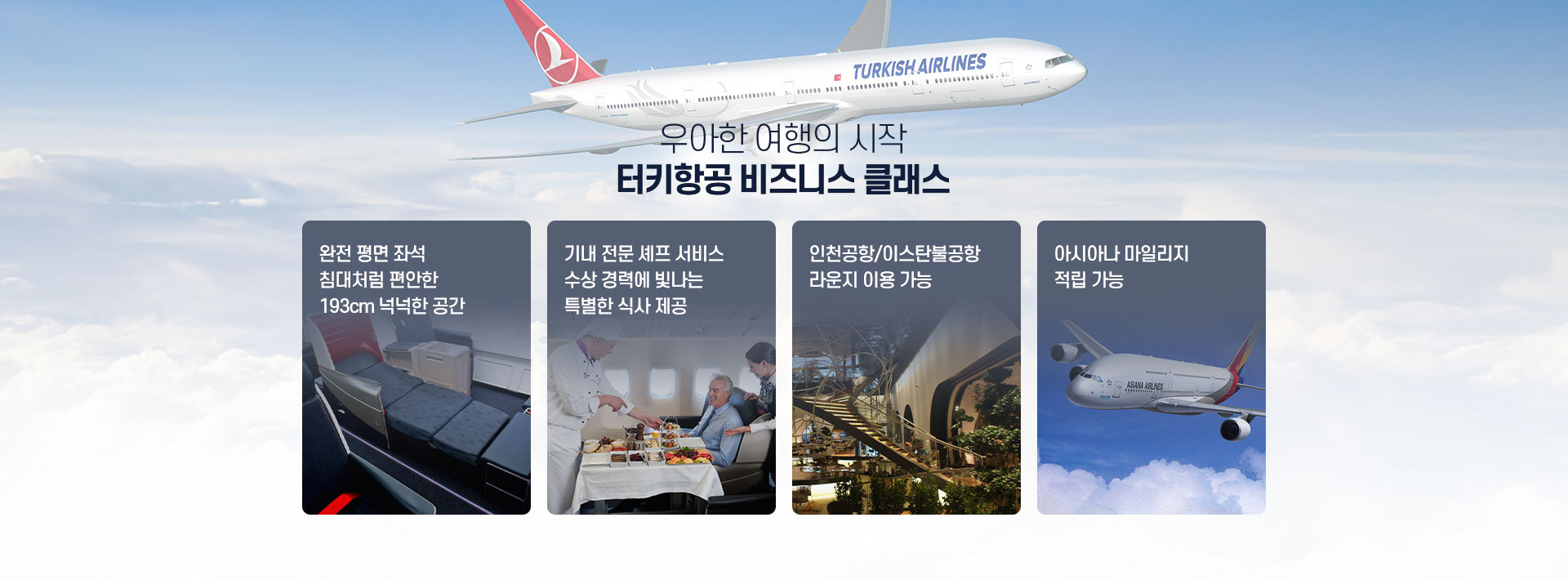 포인트