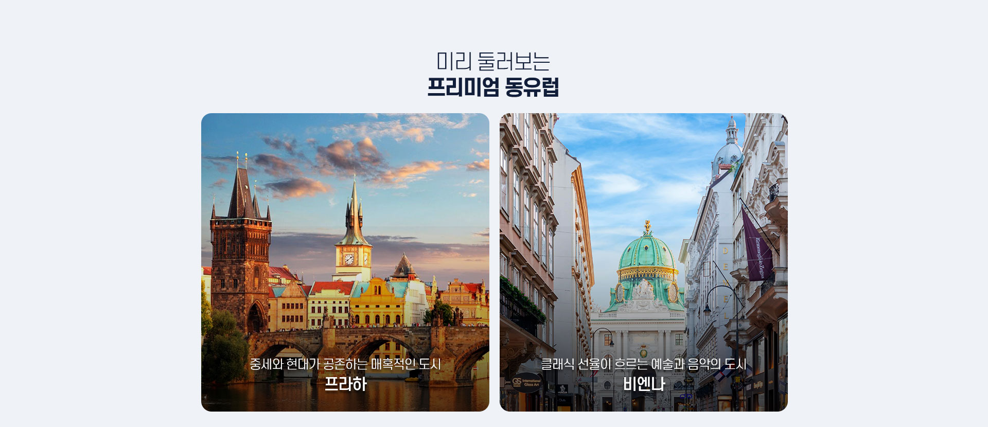포인트
