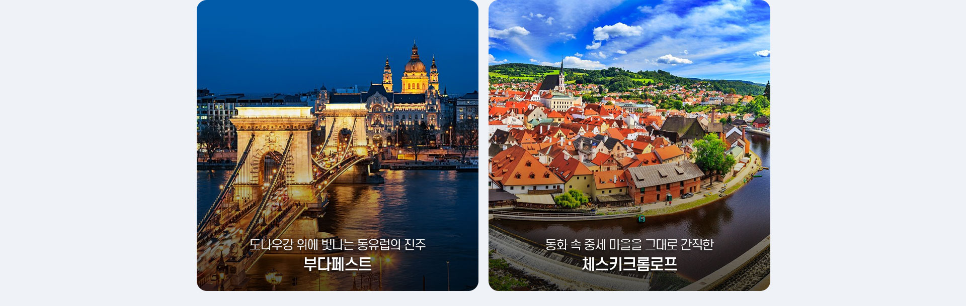 포인트