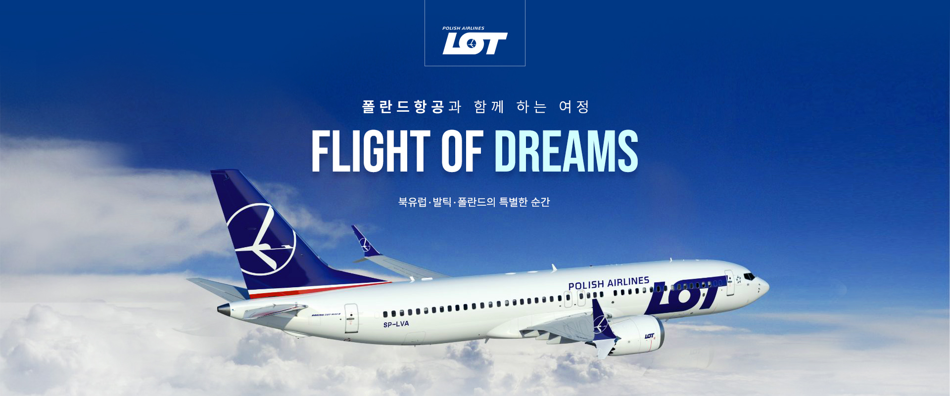 컨텐츠