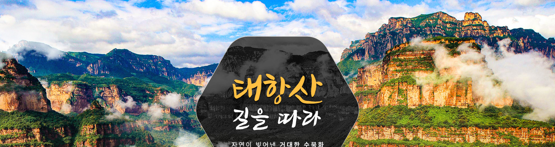 컨텐츠