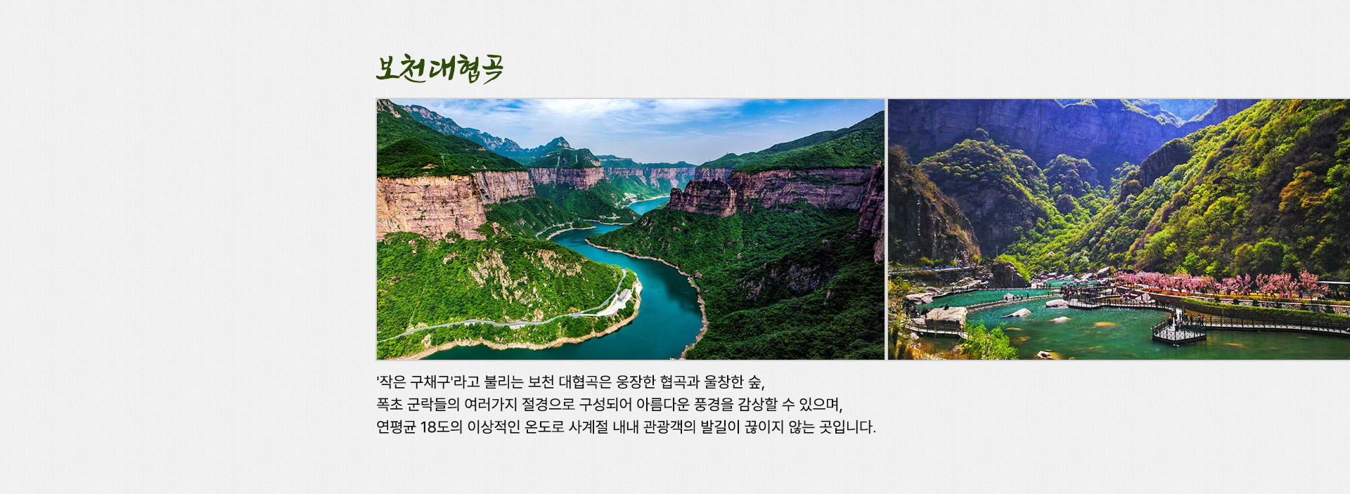 컨텐츠