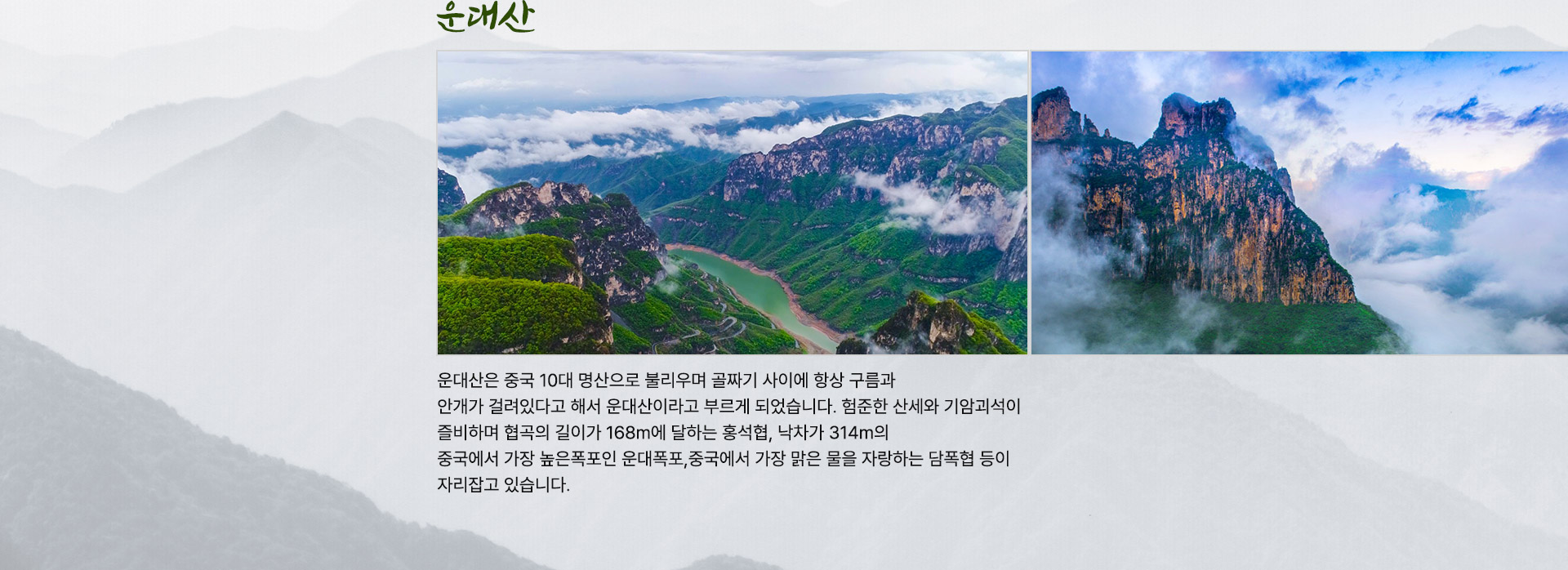 컨텐츠