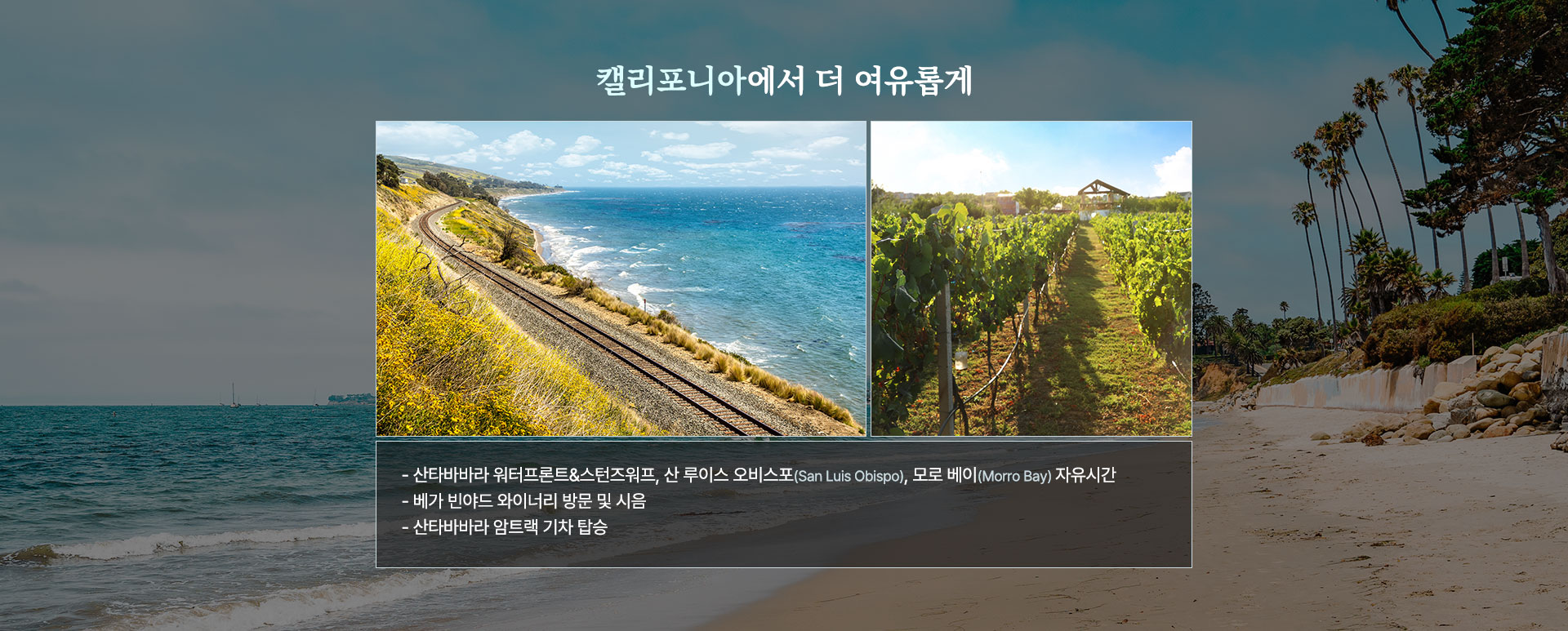 컨텐츠