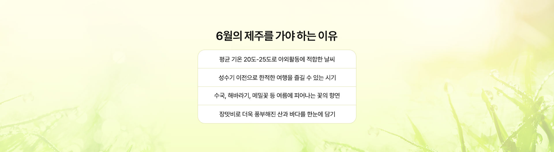 컨텐츠