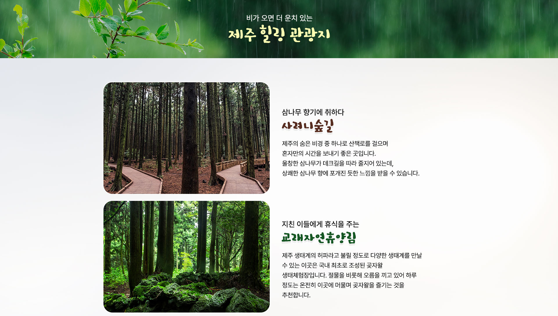 컨텐츠