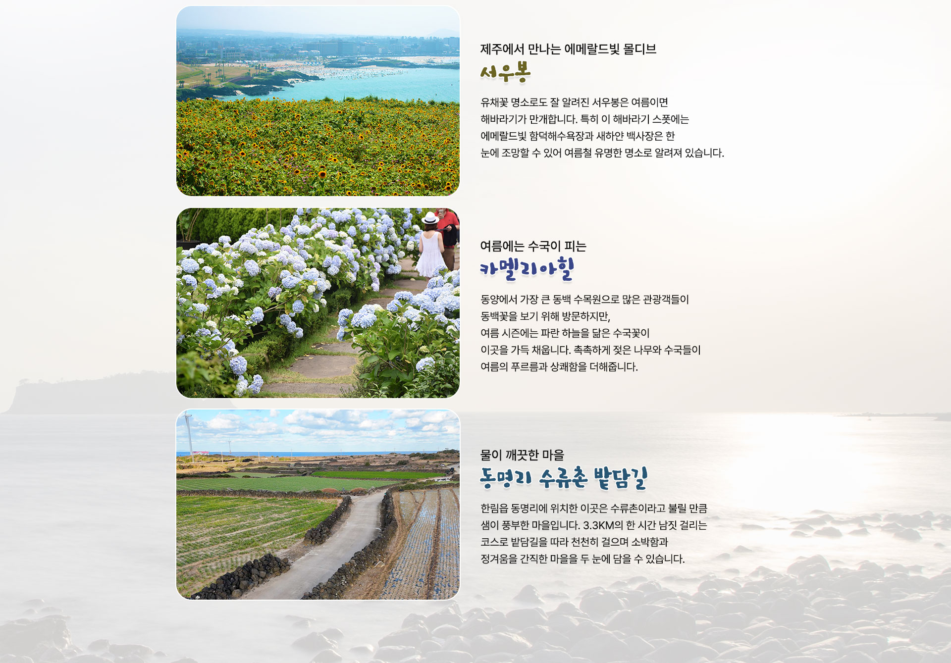 컨텐츠
