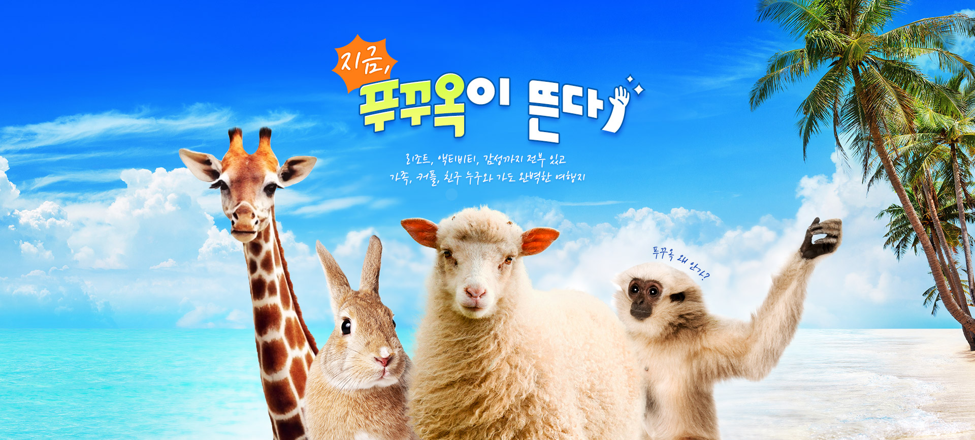 컨텐츠