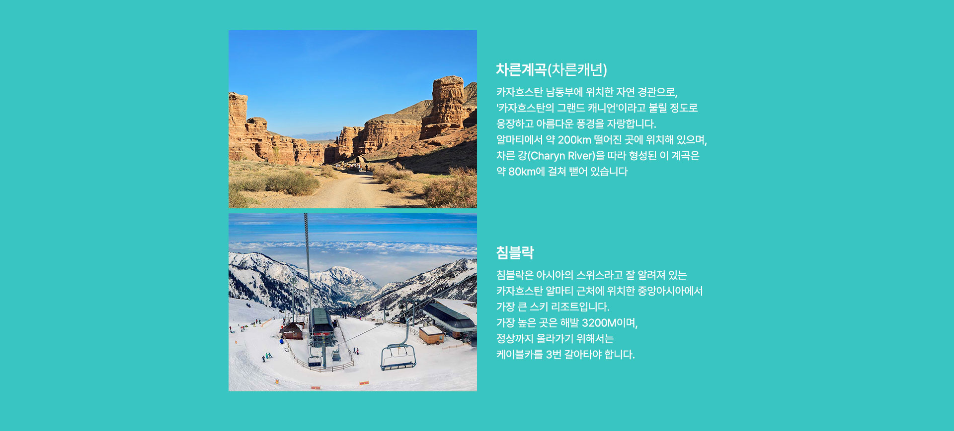 컨텐츠