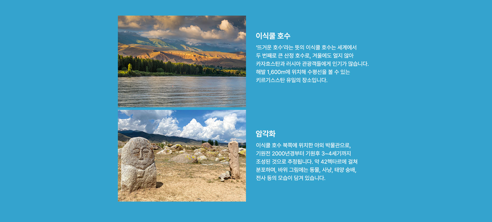 컨텐츠