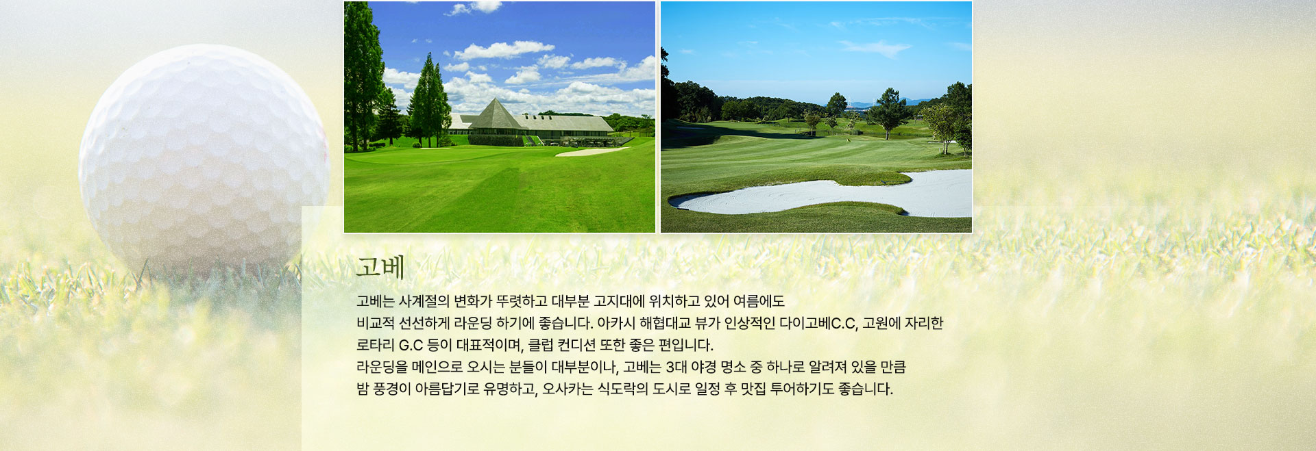 컨텐츠