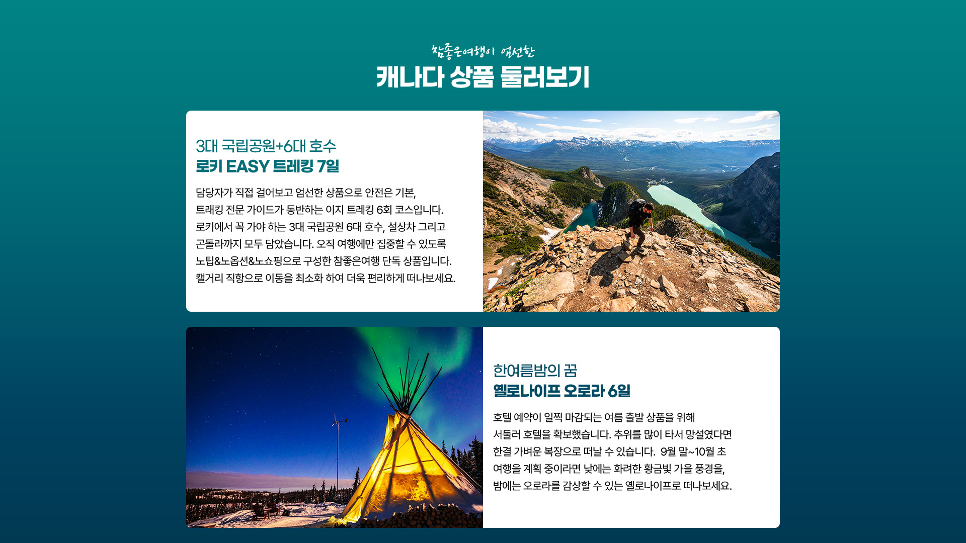 포인트