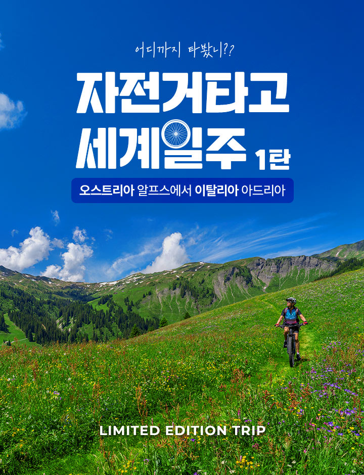 컨텐츠